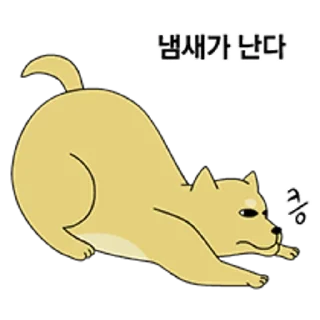 Video sticker 💬 키워, 키우라고 금수친구들 By @KakaoEmoticon