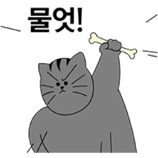 Video sticker 💬 키워, 키우라고 금수친구들 By @KakaoEmoticon