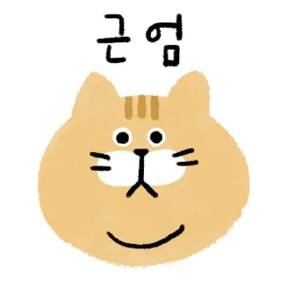 Sticker 💬 투턱 냥냥이들의 표현 By @KakaoEmoticon