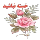 Sticker 👍 وحیـــــد.🌹🌹🌺🌺