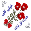 Video sticker 🌹 وحیـــــد.🌹🌹🌺🌺