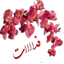 Sticker 🙏 وحیـــــد.🌹🌹🌺🌺