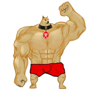 Video sticker 💪 Doge God 天