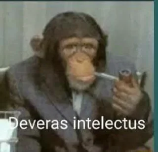 Video sticker 🐒 Deveras intelectus