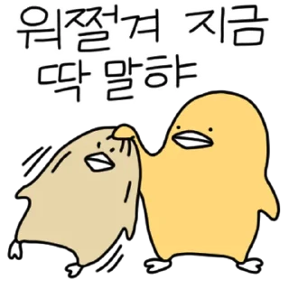 Sticker 💬 충청도 삐약이 By @KakaoEmoticon