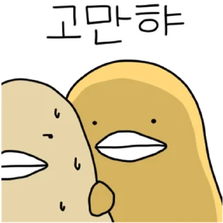 Sticker 💬 충청도 삐약이 By @KakaoEmoticon