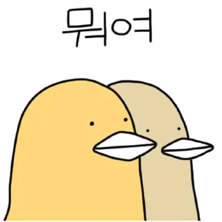 Sticker 💬 충청도 삐약이 By @KakaoEmoticon