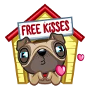 Video sticker 😘 Fred the Pug