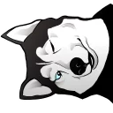 Sticker 😉 Husky memes