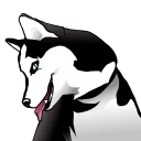 Sticker 😃 Husky memes