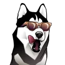 Sticker 😎 Husky memes