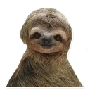 Sticker 🙂 Sloth