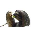 Sticker 🙂 Sloth