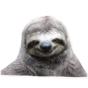 Sticker 🙂 Sloth