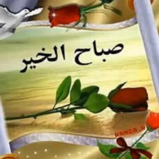 Sticker 🌹 زراب السبعينات