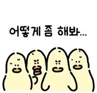 Video sticker 💬 접니다. 김바덕 By @KakaoEmoticon