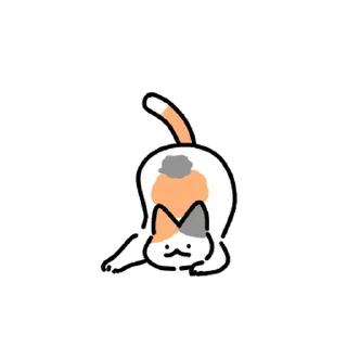 Video sticker 💬 삼색고양이는 말랑말랑해 By @KakaoEmoticon