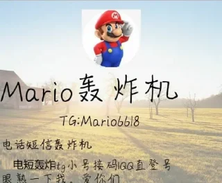 Video sticker ❤️ 轰炸机联系 @Mario6618