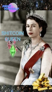 Sticker 👸 Shitcoin Degeneracy