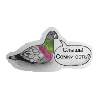 Sticker 🕊 ХЛЕБ_БТ