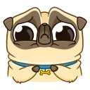 Video sticker 😨 Penny Pug