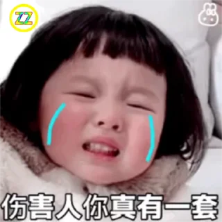 Video sticker 😭 愤怒的丸子-定制 @zz915