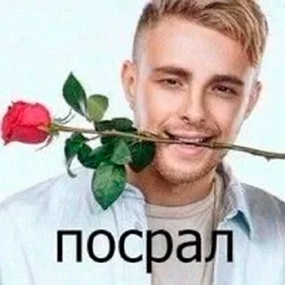 Video sticker 🌹 серьёзный пак @stikeriebat