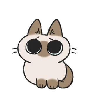 Video sticker 😢 Siamese Cat Live