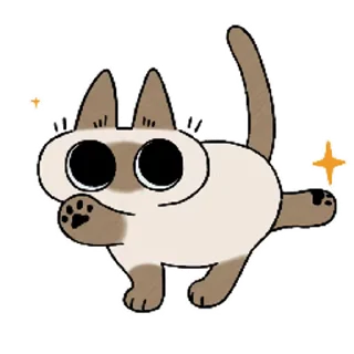 Video sticker ✨ Siamese Cat Live