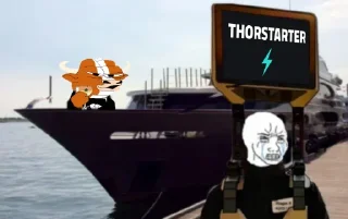 Video sticker 🚤 Thorstarter meme pack