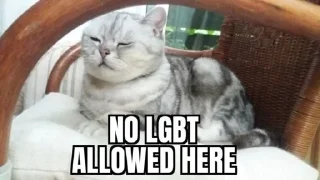 Sticker 🐈 Homophobic cat