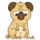 Video sticker 😞 Pugsly