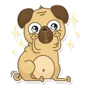 Video sticker 😊 Pugsly