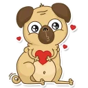 Video sticker 😘 Pugsly