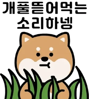 Sticker 💬 에이시바의 일상 By @KakaoEmoticon