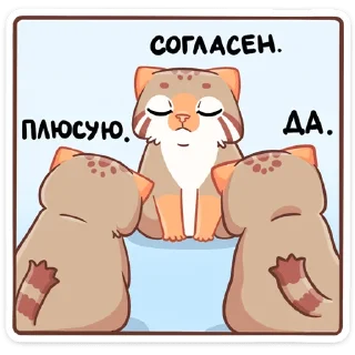 Sticker 😌 Манул Ур (@TgSticker)