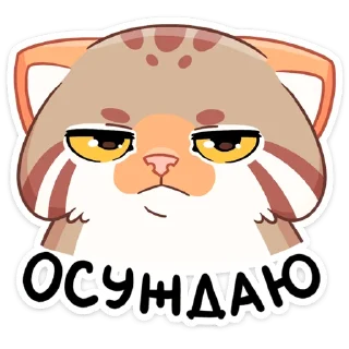 Video sticker 😒 Манул Ур (@TgSticker)