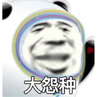 Video sticker 🐼 冰墩墩和铁憨憨🐼 @HRfrog