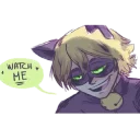 Video sticker 😊 ❤️ADRIEN . CAT NOIR❤️