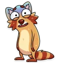 Video sticker 😨 Mr. Raccoon