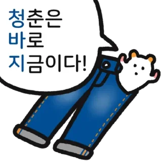 Video sticker 💬 매콤달콤 주황귀 찍찍잉 By @KakaoEmoticon