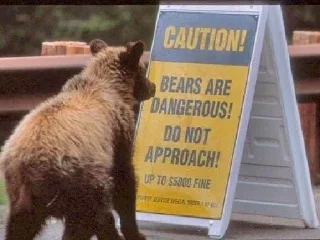 Sticker ⚠️ Watch Out For Bears!