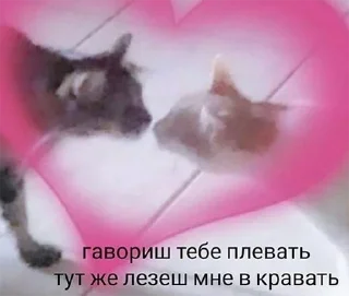 Video sticker 😘 ебобоша