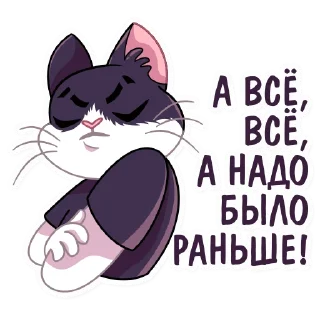 Sticker 🙅‍♂️ Кот Дайвинчика