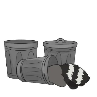 Video sticker 🗑️ Raccoons by Pulexart.com