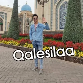 Video sticker 😇 Elyor_Ahmedov by @gostickerbot