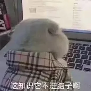 Video sticker 😓 群芳院茶社  @china_aa