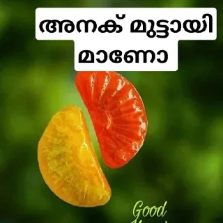 Sticker 👍 Malayalam chat group @kinaril