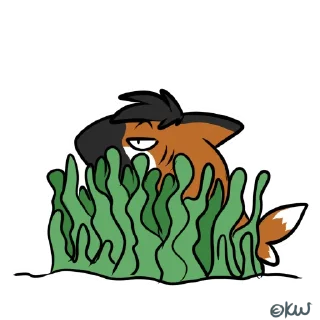 Video sticker 🌾 ManedShark