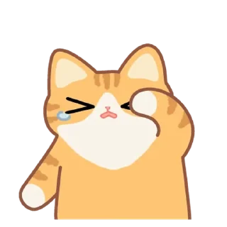 Video sticker 💬 보들보들 보들캣! 치즈냥 By @KakaoEmoticon